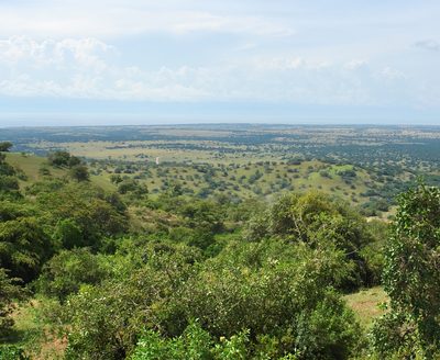 panoramic scenery around the Great Rift Valley in Uganda (Africa)