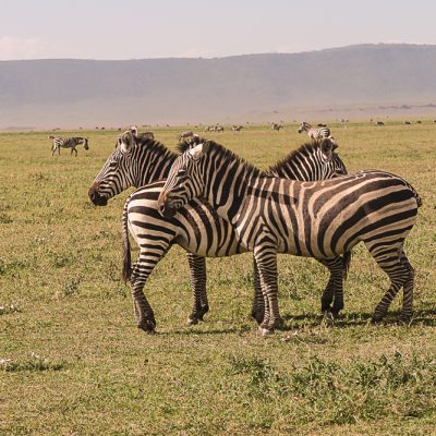 NgoroNgoro National park